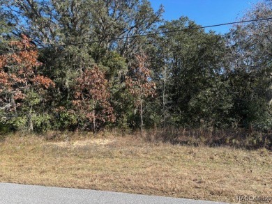 Welcome to a beautiful 1.23-acre lot located in the highly on Citrus Hills Golf Club in Florida - for sale on GolfHomes.com, golf home, golf lot