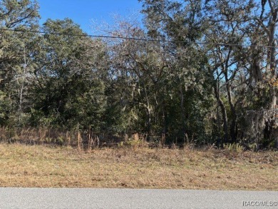 Welcome to a beautiful 1.23-acre lot located in the highly on Citrus Hills Golf Club in Florida - for sale on GolfHomes.com, golf home, golf lot