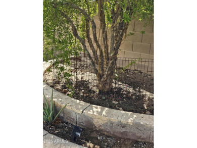 Want the biggest lot in the subdivision? Looking for an RV gate? on Poston Butte Golf Club in Arizona - for sale on GolfHomes.com, golf home, golf lot