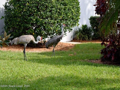 Expanded WATERFRONT Austin model is a must-see! Located in a on Indian River Colony Club in Florida - for sale on GolfHomes.com, golf home, golf lot