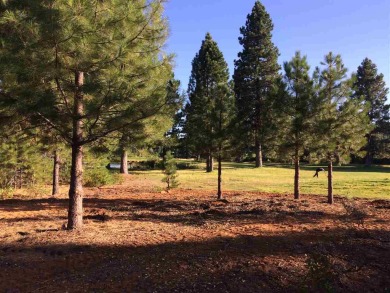 Great views of the first green, pond and the 2nd tee and fairway on Bailey Creek Golf Course in California - for sale on GolfHomes.com, golf home, golf lot