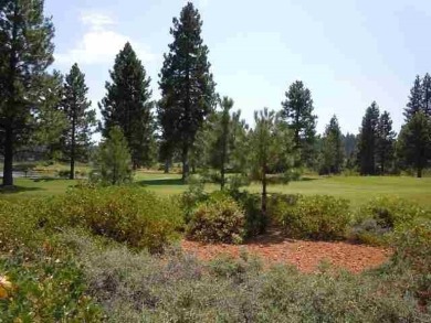 Great views of the first green, pond and the 2nd tee and fairway on Bailey Creek Golf Course in California - for sale on GolfHomes.com, golf home, golf lot