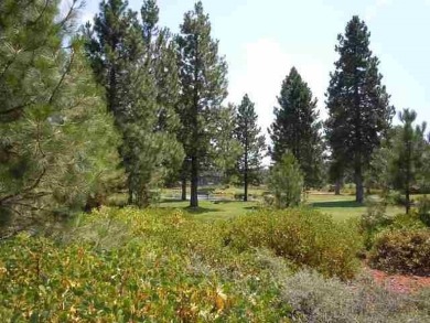 Great views of the first green, pond and the 2nd tee and fairway on Bailey Creek Golf Course in California - for sale on GolfHomes.com, golf home, golf lot