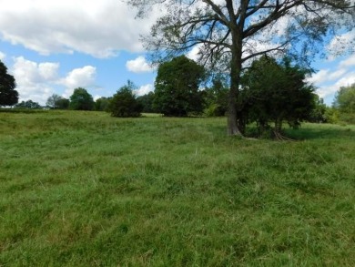 Over 58 Acres in Harrison off Hwy 65 N with 26,000 per day on Harrison Country Club in Arkansas - for sale on GolfHomes.com, golf home, golf lot