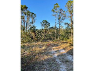 Welcome to your future homesite! This beautiful 0.23-acre lot is on Deep Creek Golf Club in Florida - for sale on GolfHomes.com, golf home, golf lot