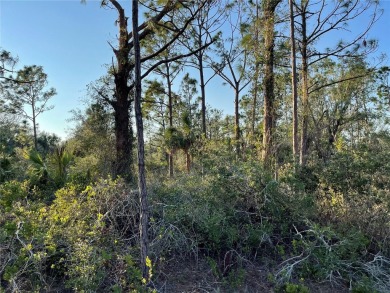Welcome to your future homesite! This beautiful 0.23-acre lot is on Deep Creek Golf Club in Florida - for sale on GolfHomes.com, golf home, golf lot