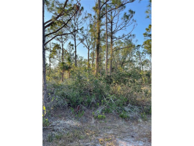Welcome to your future homesite! This beautiful 0.23-acre lot is on Deep Creek Golf Club in Florida - for sale on GolfHomes.com, golf home, golf lot