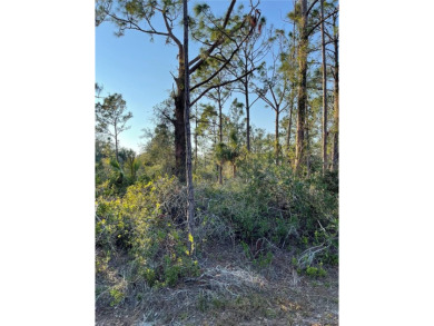 Welcome to your future homesite! This beautiful 0.23-acre lot is on Deep Creek Golf Club in Florida - for sale on GolfHomes.com, golf home, golf lot