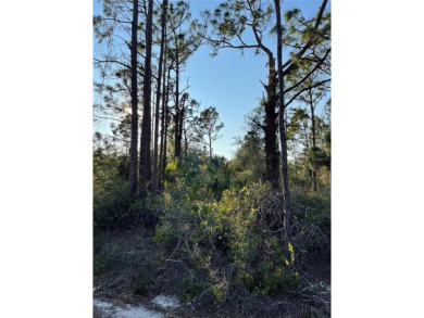 Welcome to your future homesite! This beautiful 0.23-acre lot is on Deep Creek Golf Club in Florida - for sale on GolfHomes.com, golf home, golf lot