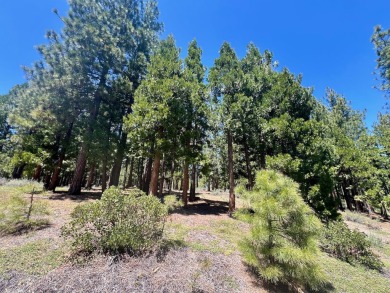 DO YOU HEAR THAT? It's the sound (silence) of the shooting stars on Nakoma Golf Resort in California - for sale on GolfHomes.com, golf home, golf lot