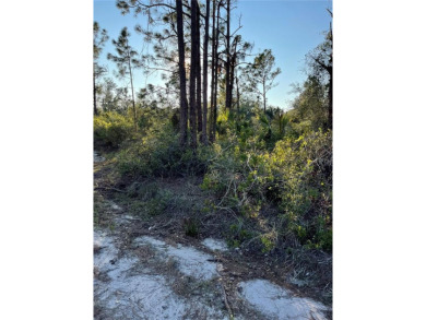 Welcome to your future homesite! This beautiful 0.23-acre lot is on Deep Creek Golf Club in Florida - for sale on GolfHomes.com, golf home, golf lot