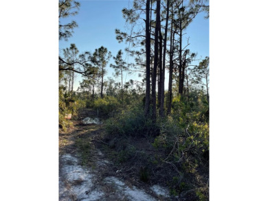 Welcome to your future homesite! This beautiful 0.23-acre lot is on Deep Creek Golf Club in Florida - for sale on GolfHomes.com, golf home, golf lot