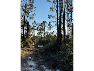 Welcome to your future homesite! This beautiful 0.23-acre lot is on Deep Creek Golf Club in Florida - for sale on GolfHomes.com, golf home, golf lot
