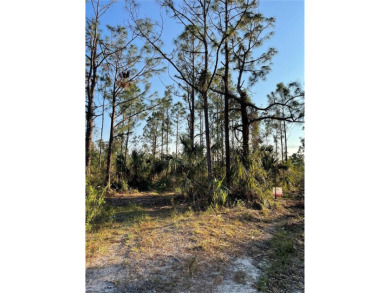 Welcome to your future homesite! This beautiful 0.23-acre lot is on Deep Creek Golf Club in Florida - for sale on GolfHomes.com, golf home, golf lot