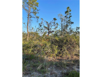 Welcome to your future homesite! This beautiful 0.23-acre lot is on Deep Creek Golf Club in Florida - for sale on GolfHomes.com, golf home, golf lot