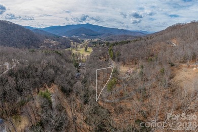 Welcome to 1345 Country Club Drive in the beautiful Springdale on Springdale Golf - Country Club in North Carolina - for sale on GolfHomes.com, golf home, golf lot
