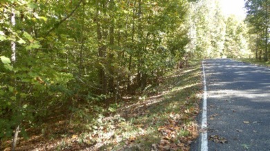 4.47 Ac in the prestige secured gated community of Mountain on Riverwatch Golf Club in Tennessee - for sale on GolfHomes.com, golf home, golf lot