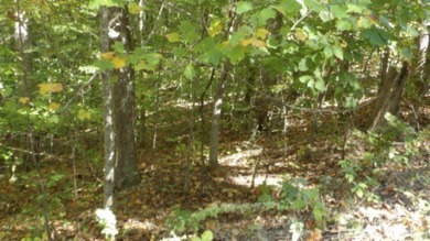 4.47 Ac in the prestige secured gated community of Mountain on Riverwatch Golf Club in Tennessee - for sale on GolfHomes.com, golf home, golf lot