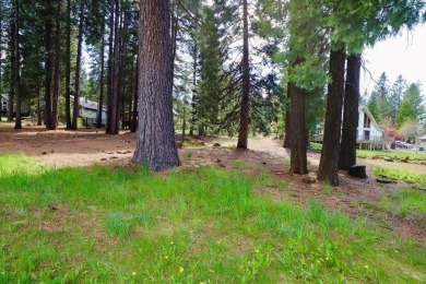 Beautiful lot located on the golf course in Lake Almanor West on Lake Almanor West Golf Course in California - for sale on GolfHomes.com, golf home, golf lot