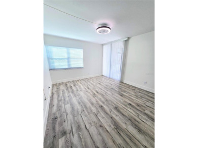 Best price in town for a Fully Remodeled Condo @ Villas Caprie on Largo Golf Course in Florida - for sale on GolfHomes.com, golf home, golf lot