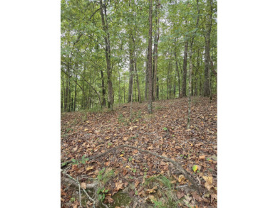 Gorgeous lot in the Diamondhead Resort Community, only a few on Diamondhead Golf and Country Club in Arkansas - for sale on GolfHomes.com, golf home, golf lot