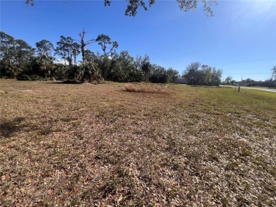 New construction is BOOMING in Burnt Store Lakes! If you are on Burnt Store Golf Club in Florida - for sale on GolfHomes.com, golf home, golf lot