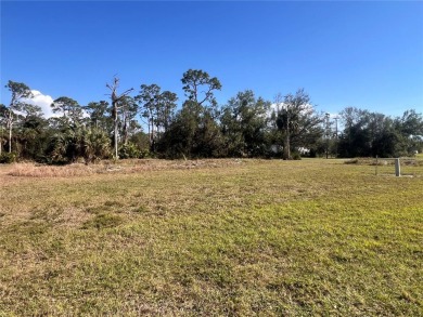 New construction is BOOMING in Burnt Store Lakes! If you are on Burnt Store Golf Club in Florida - for sale on GolfHomes.com, golf home, golf lot