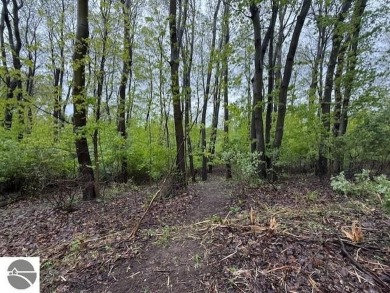 Over 11 acres of future development opportunity or recreation on Hidden Oaks Golf Course in Michigan - for sale on GolfHomes.com, golf home, golf lot