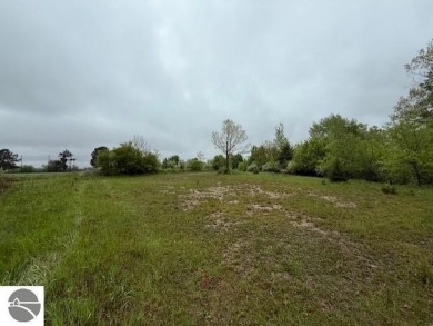 Over 11 acres of future development opportunity or recreation on Hidden Oaks Golf Course in Michigan - for sale on GolfHomes.com, golf home, golf lot