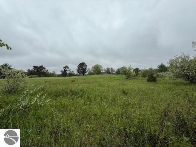Over 11 acres of future development opportunity or recreation on Hidden Oaks Golf Course in Michigan - for sale on GolfHomes.com, golf home, golf lot