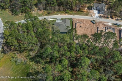 One or more photo(s) has been virtually staged. The CDD hs been on Southern Hills Plantation Club in Florida - for sale on GolfHomes.com, golf home, golf lot