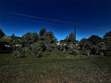 THIS HOME IS THE LARGEST MODEL BUILT IN THE COMMUNITY. IT CAN BE on Oriole Golf and Tennis Club in Florida - for sale on GolfHomes.com, golf home, golf lot