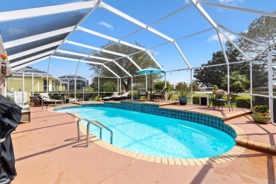 POOL on GOLF COURSE! GORGEOUS Designer Vera Cruz Home on Terra on Tierra Del Sol Golf and Country Club in Florida - for sale on GolfHomes.com, golf home, golf lot