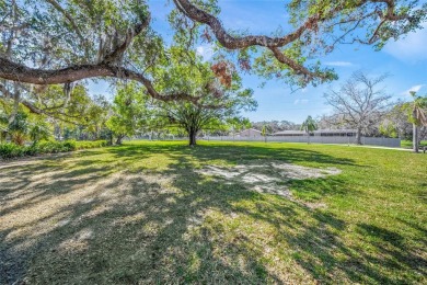 This is the one * NO DEED RESTRICTIONS * PERFECTLY POSITIONED on Laurel Oak Country Club in Florida - for sale on GolfHomes.com, golf home, golf lot