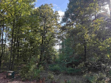 LAKEFRONT LIVING AT ITS BEST!  Discover the perfect spot to on  in Arkansas - for sale on GolfHomes.com, golf home, golf lot