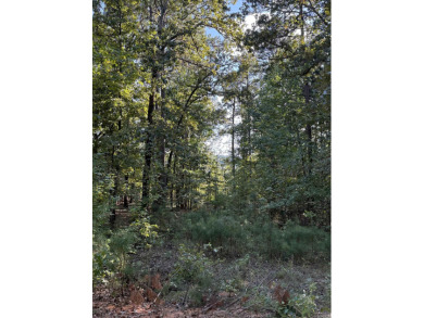 LAKEFRONT LIVING AT ITS BEST!  Discover the perfect spot to on  in Arkansas - for sale on GolfHomes.com, golf home, golf lot