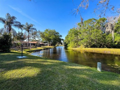 SERENITY AWAITS WITH THIS MOVE-IN READY home with private oasis on Seven Springs Golf and Country Club in Florida - for sale on GolfHomes.com, golf home, golf lot