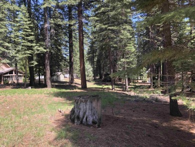 Beautiful, gentle sloping lot ready for your dream home. Great on Lake Almanor Country Club in California - for sale on GolfHomes.com, golf home, golf lot