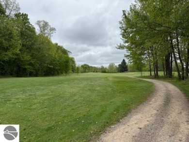 Opportunity awaits with your chance to own history. Fire Fly on Firefly Golf Links in Michigan - for sale on GolfHomes.com, golf home, golf lot