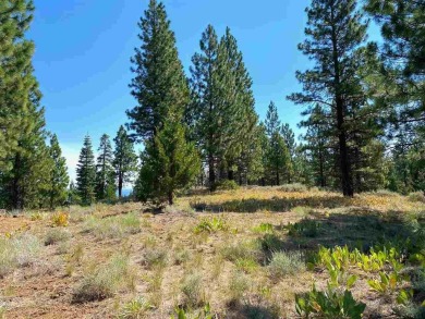 Unbelievable views from this gorgeous ridgetop parcel set in the on Nakoma Golf Resort in California - for sale on GolfHomes.com, golf home, golf lot