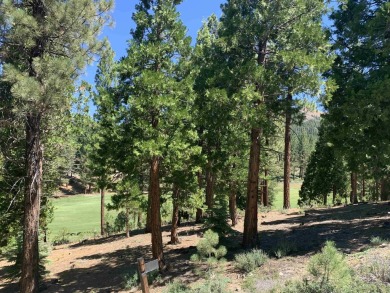 Beautifully treed, downsloping .52 acre homesite with sweeping on Grizzly Ranch Golf Club in California - for sale on GolfHomes.com, golf home, golf lot