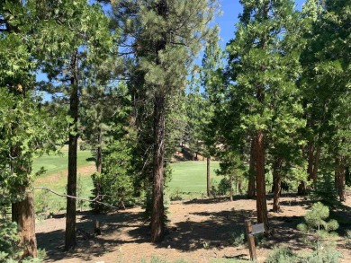 Beautifully treed, downsloping .52 acre homesite with sweeping on Grizzly Ranch Golf Club in California - for sale on GolfHomes.com, golf home, golf lot