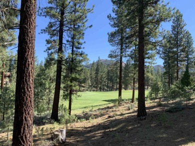 Beautifully treed, downsloping .52 acre homesite with sweeping on Grizzly Ranch Golf Club in California - for sale on GolfHomes.com, golf home, golf lot