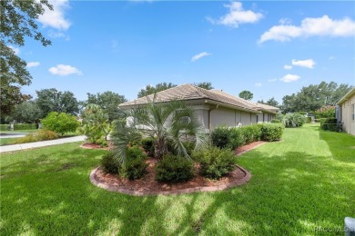 This spectacular upgraded custom built pool home located in on Skyview At Terra Vista Golf and Country Club in Florida - for sale on GolfHomes.com, golf home, golf lot