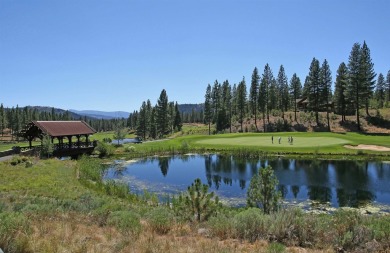 Beautifully treed, downsloping .52 acre homesite with sweeping on Grizzly Ranch Golf Club in California - for sale on GolfHomes.com, golf home, golf lot