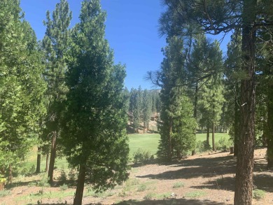 Beautifully treed, downsloping .41 acre homesite with stunning on Grizzly Ranch Golf Club in California - for sale on GolfHomes.com, golf home, golf lot