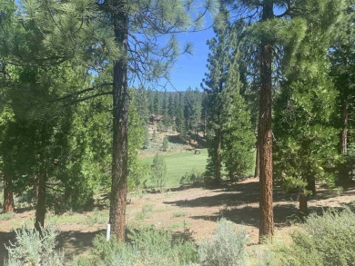 Beautifully treed, downsloping .41 acre homesite with stunning on Grizzly Ranch Golf Club in California - for sale on GolfHomes.com, golf home, golf lot