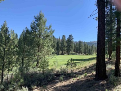 Beautifully treed, downsloping .30 acre homesite with great on Grizzly Ranch Golf Club in California - for sale on GolfHomes.com, golf home, golf lot