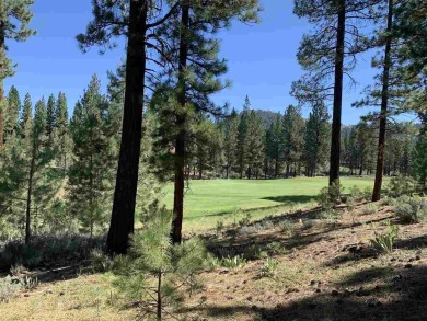 Beautifully treed, downsloping .30 acre homesite with great on Grizzly Ranch Golf Club in California - for sale on GolfHomes.com, golf home, golf lot