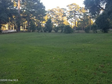 Luxury Golf Course Living - Fully Upgraded & Turnkey! Experience on Olde Point Golf and Country Club in North Carolina - for sale on GolfHomes.com, golf home, golf lot